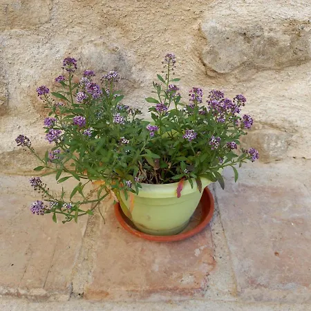 Rincon De Guara * Bierge