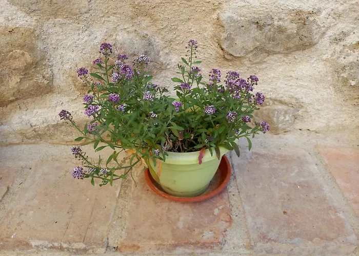 Rincon De Guara * Bierge